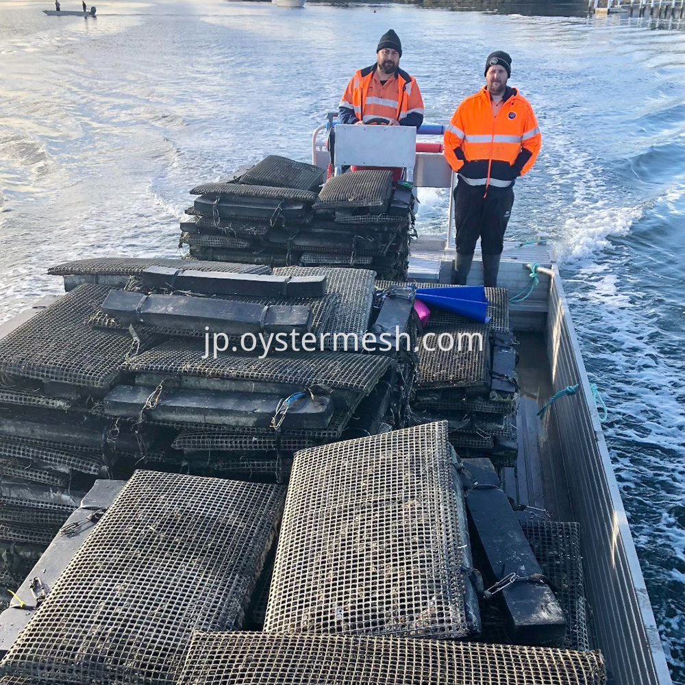 Oyster Floating Mesh